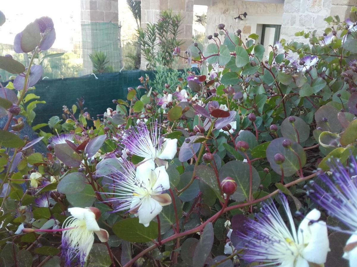 Le Terrazze Sul Mare Villa Cava dʼAliga Exterior foto